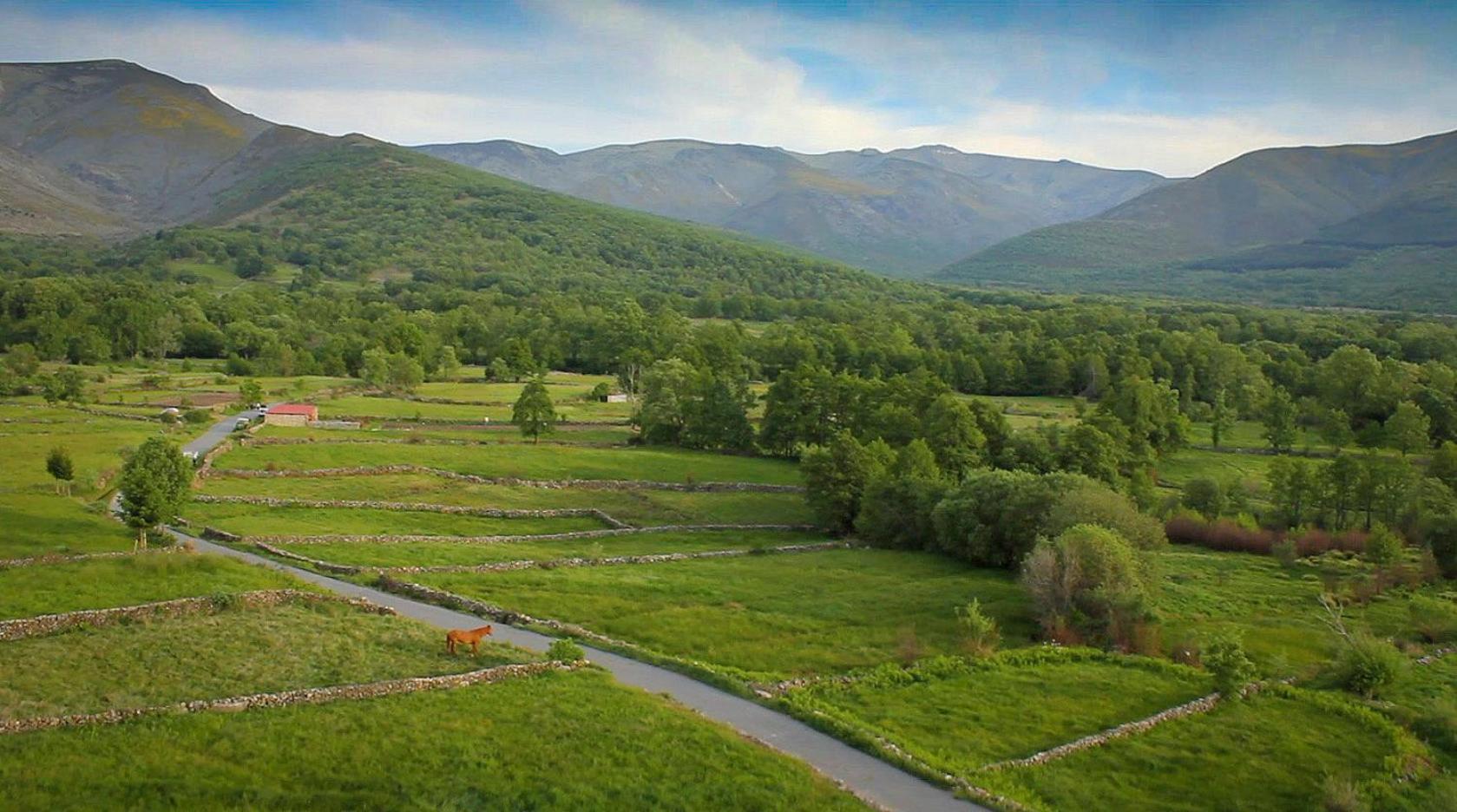 Remanso De Gredos Guest House Navalonguilla ภายนอก รูปภาพ